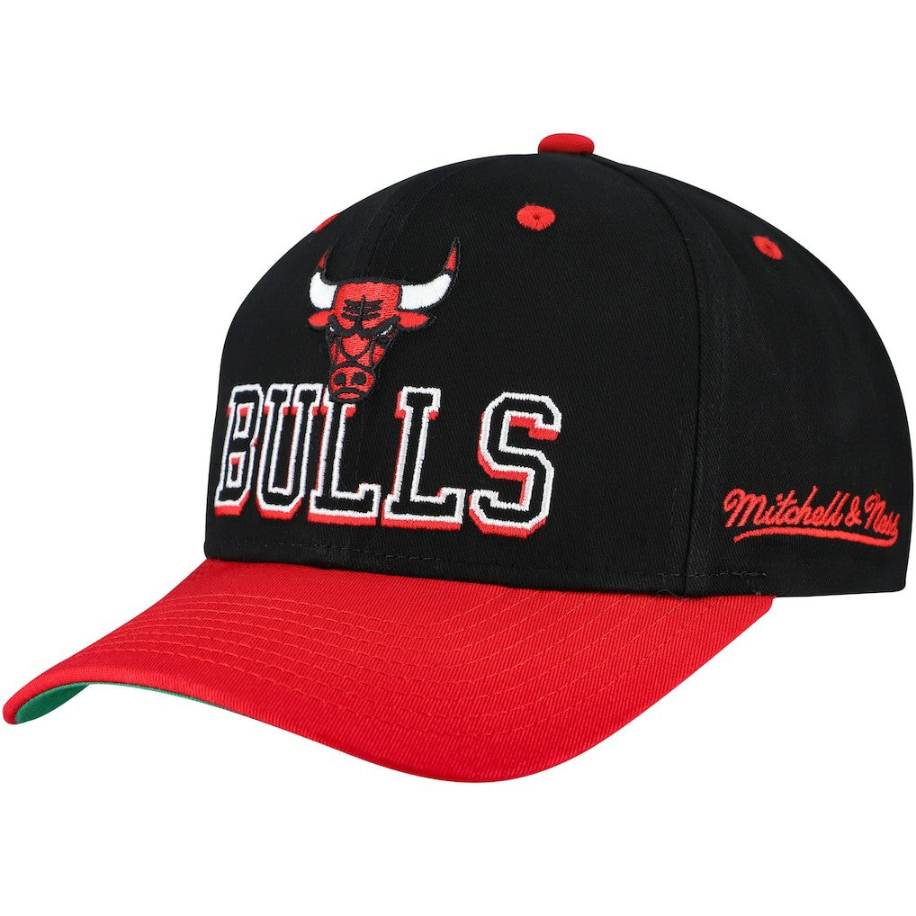 NBA Chicago Bulls Backside Script 2-Tone Pro Crown Adjustable Hat