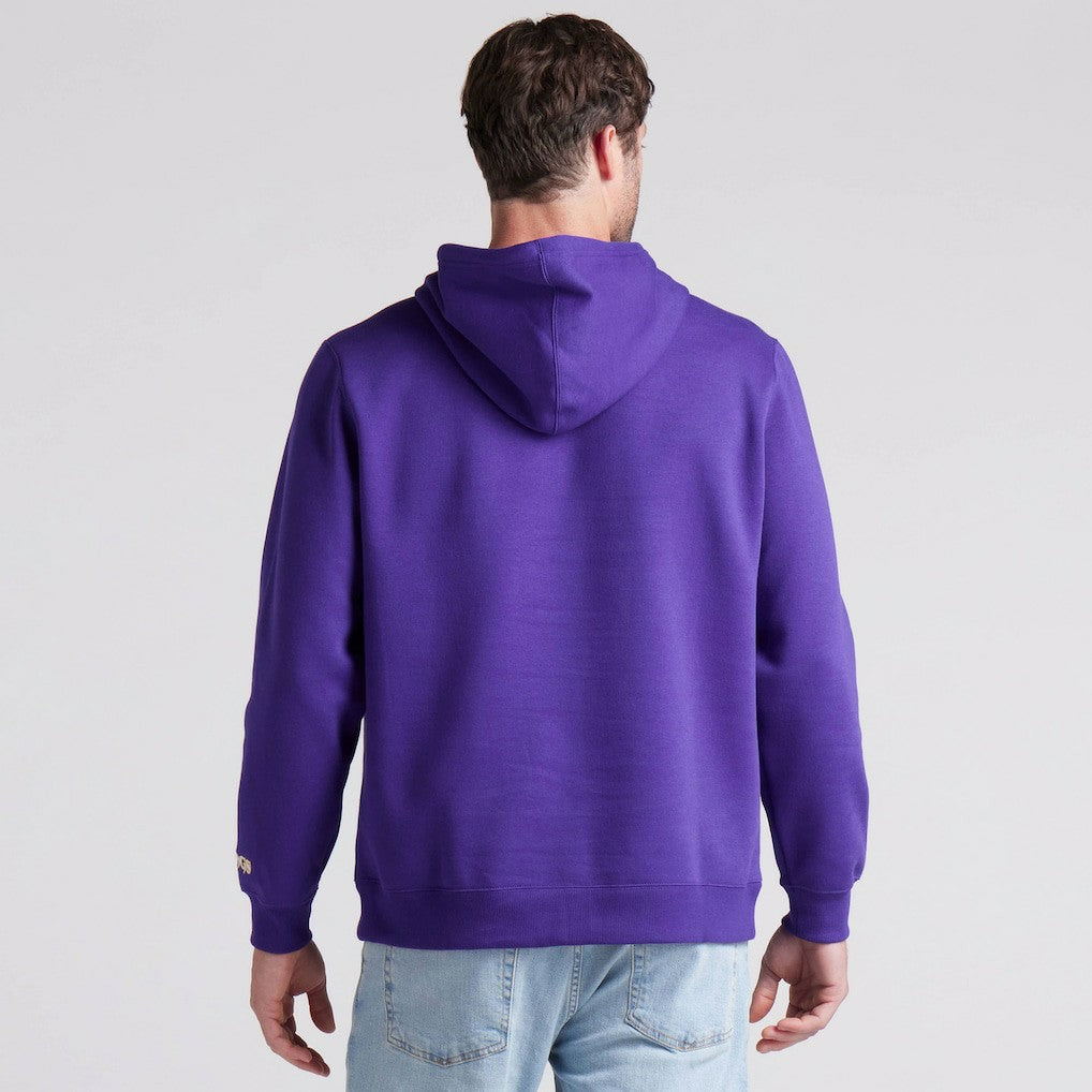 Pylon Cam Legacy Pullover Hoodie - Minnesota Vikings