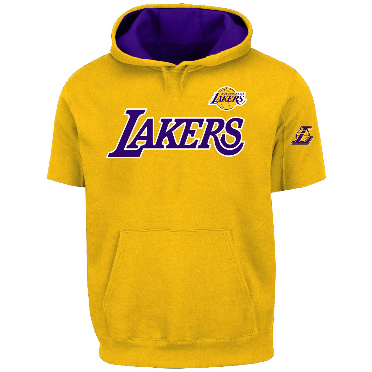 NBA LeBron James Los Angeles Lakers Big & Tall Short Sleeve Hoodie