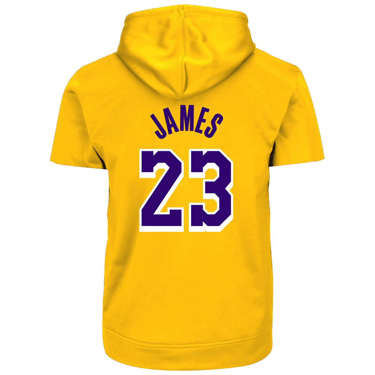 NBA LeBron James Los Angeles Lakers Big & Tall Short Sleeve Hoodie
