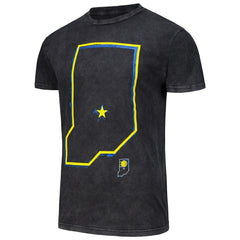 NBA Indiana Pacers Stadium Essentials Unisex Vintage T-Shirt
