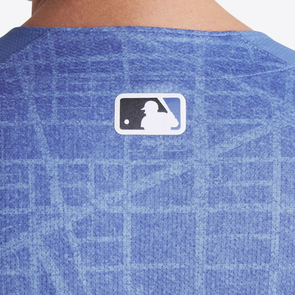 MLB Washington Nationals Nike 2025 City Connect Limited Jersey