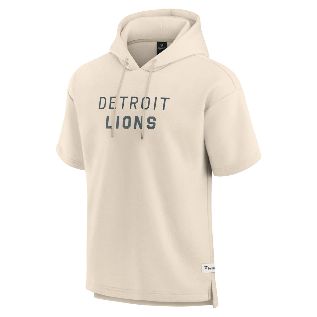 Elements Future Ground Lettering Short Sleeve Pullover Hoodie - Detroit Lions
