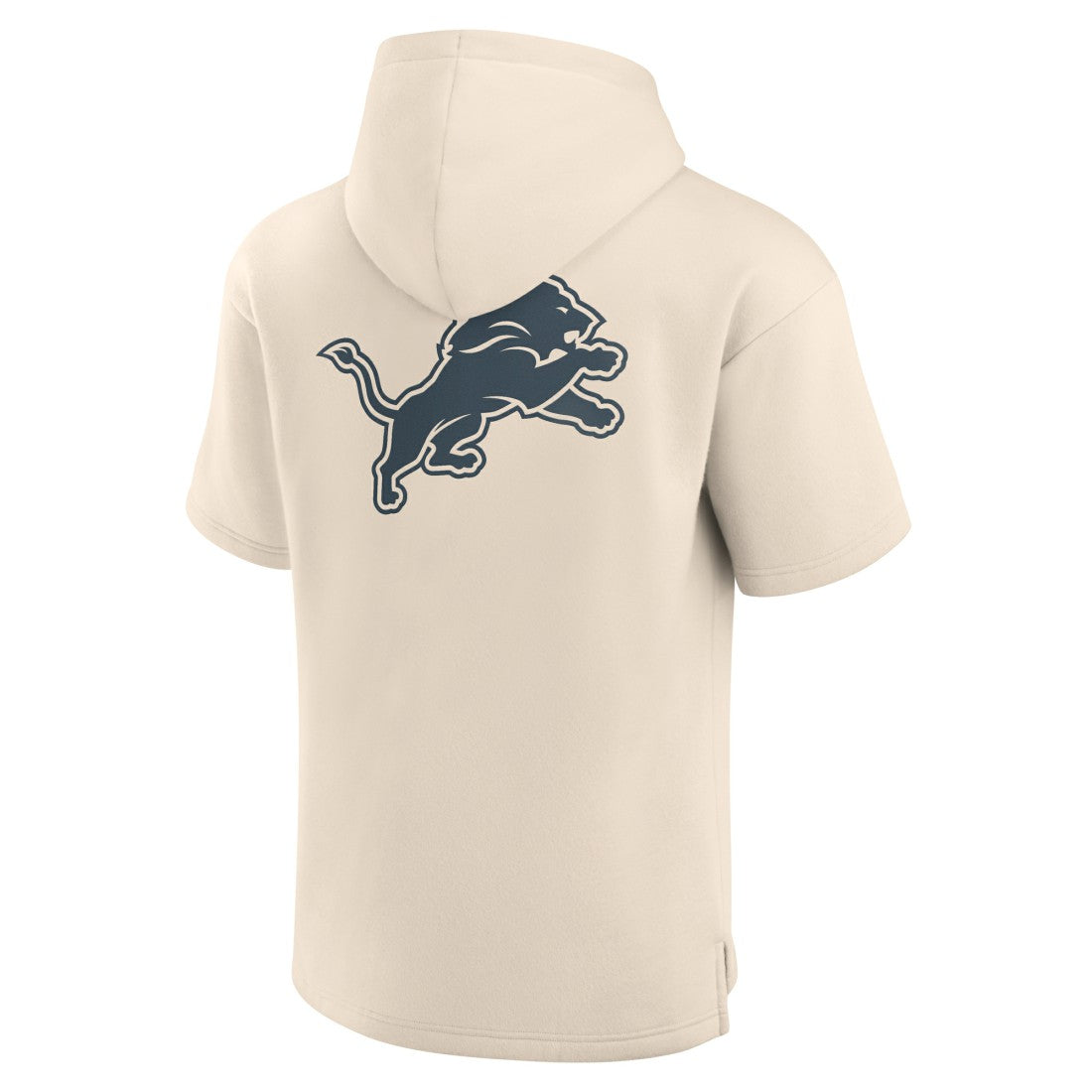 Elements Future Ground Lettering Short Sleeve Pullover Hoodie - Detroit Lions