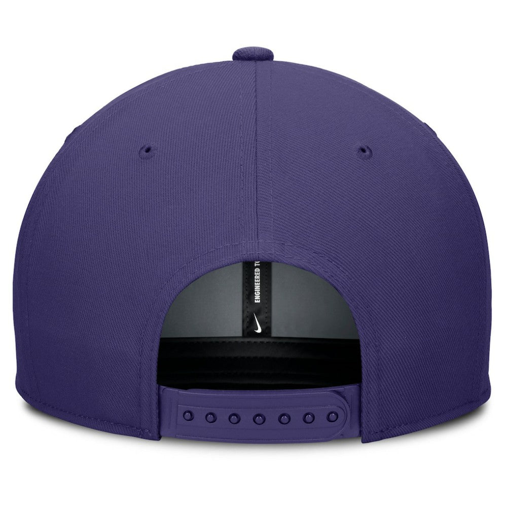 MLB Tampa Bay Rays Nike Pro Performance Snapback Hat
