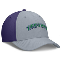 MLB Tampa Bay Rays Nike Rise Swoosh Performance Flex Hat