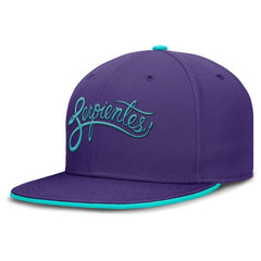 MLB Arizona Diamondbacks Nike 2025 City Connect True Performance Fitted Hat