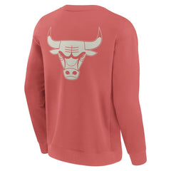 NBA Chicago Bulls Elements Future Ground Lettering Pullover Sweatshirt