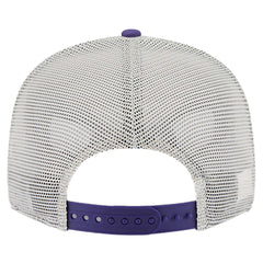 NBA Phoenix Suns Victory Grove Split Panel 9FIFTY Snapback Hat