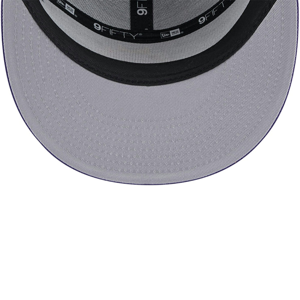 NBA Phoenix Suns Victory Grove Split Panel 9FIFTY Snapback Hat