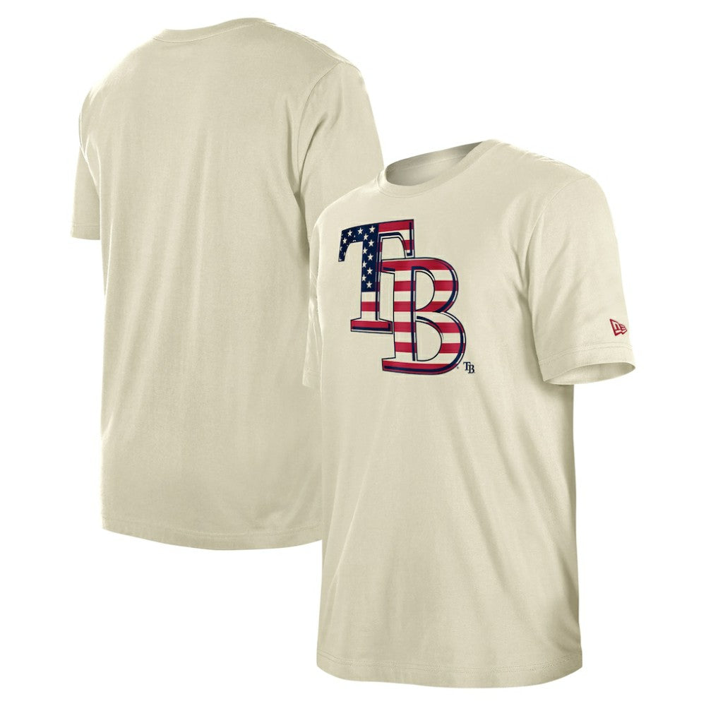 MLB Tampa Bay Rays New Era Americana Flag Fill T-Shirt