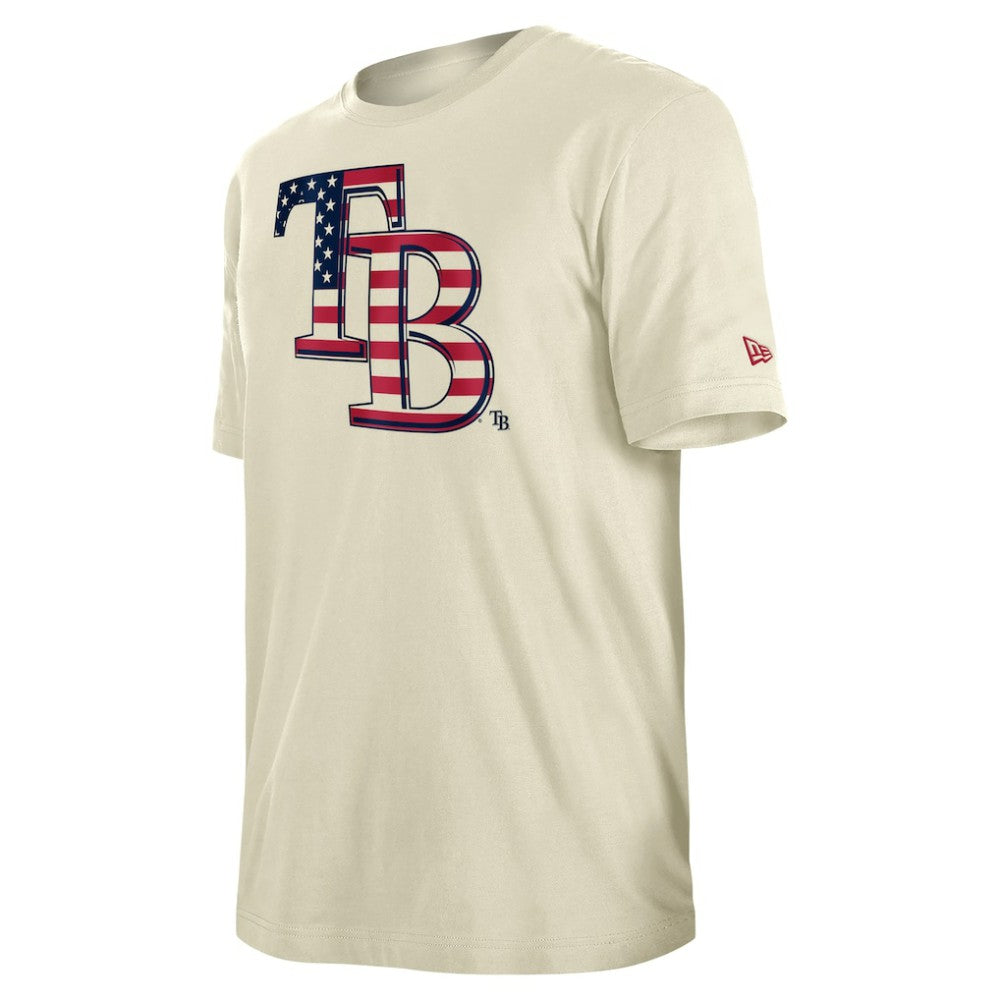 MLB Tampa Bay Rays New Era Americana Flag Fill T-Shirt