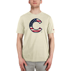 MLB Chicago Cubs New Era Americana Flag Fill T-Shirt
