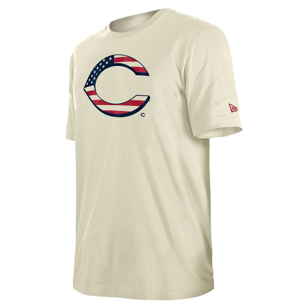 MLB Cincinnati Reds New Era Americana Flag Fill T-Shirt