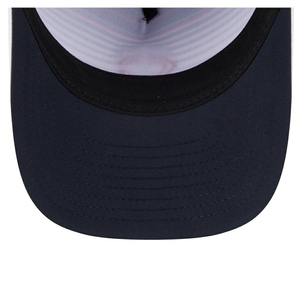 MLB Minnesota Twins New Era Gradient 9FORTY M-Crown Adjustable Hat