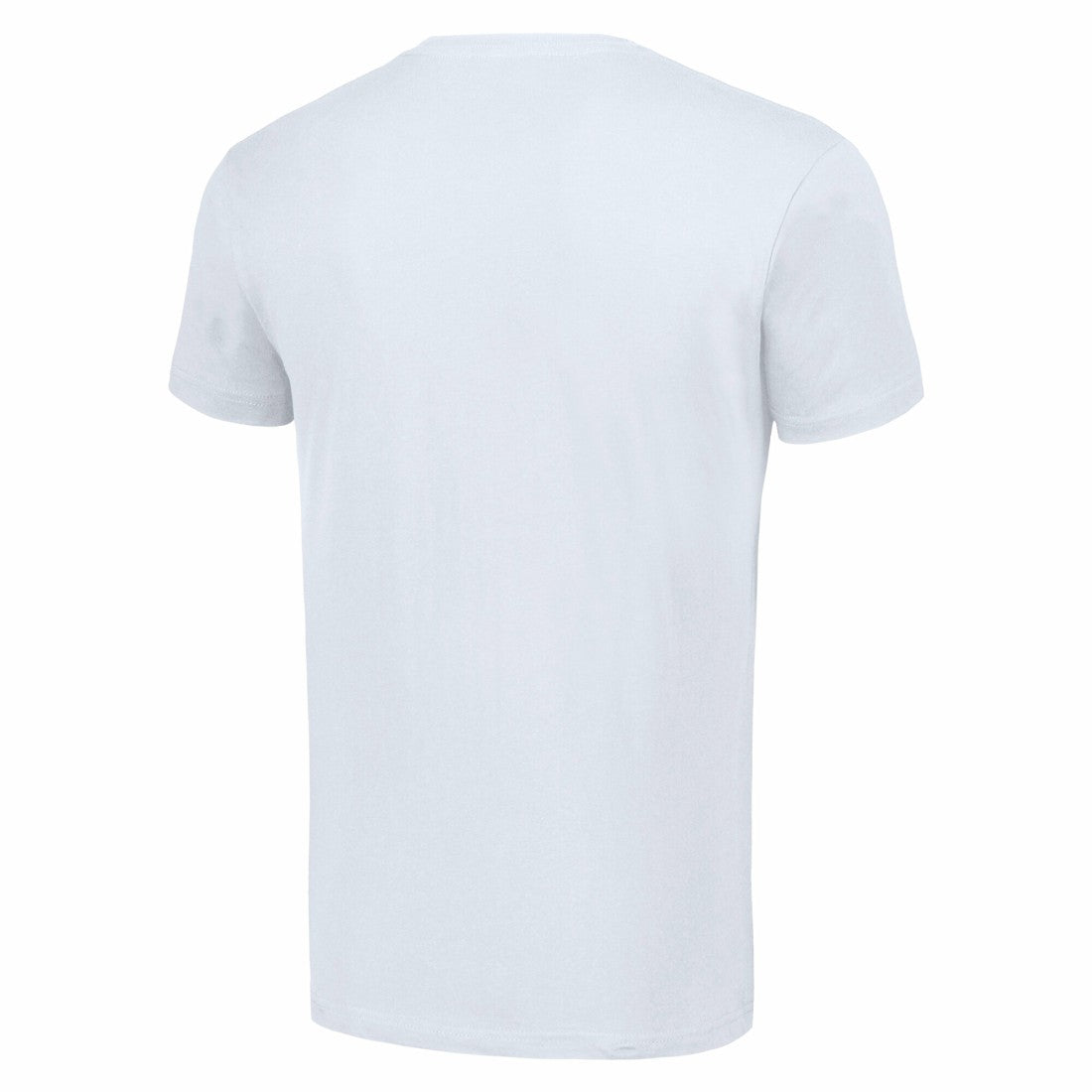 Starter City Tailsweep T-Shirt - Houston Texans