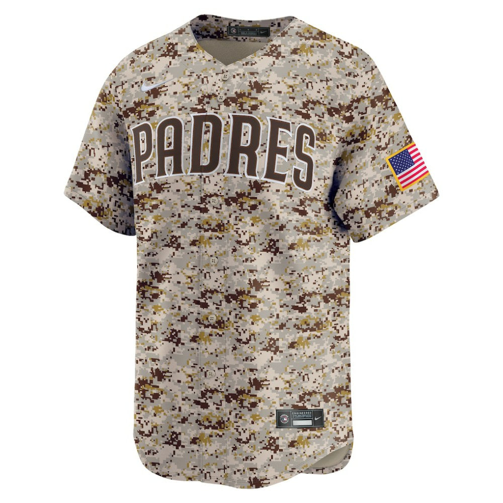 MLB Fernando Tatis Jr. San Diego Padres Nike Alternate 2 Limited Jersey