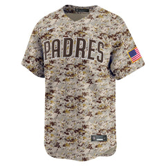 MLB Fernando Tatis Jr. San Diego Padres Nike Alternate 2 Limited Jersey