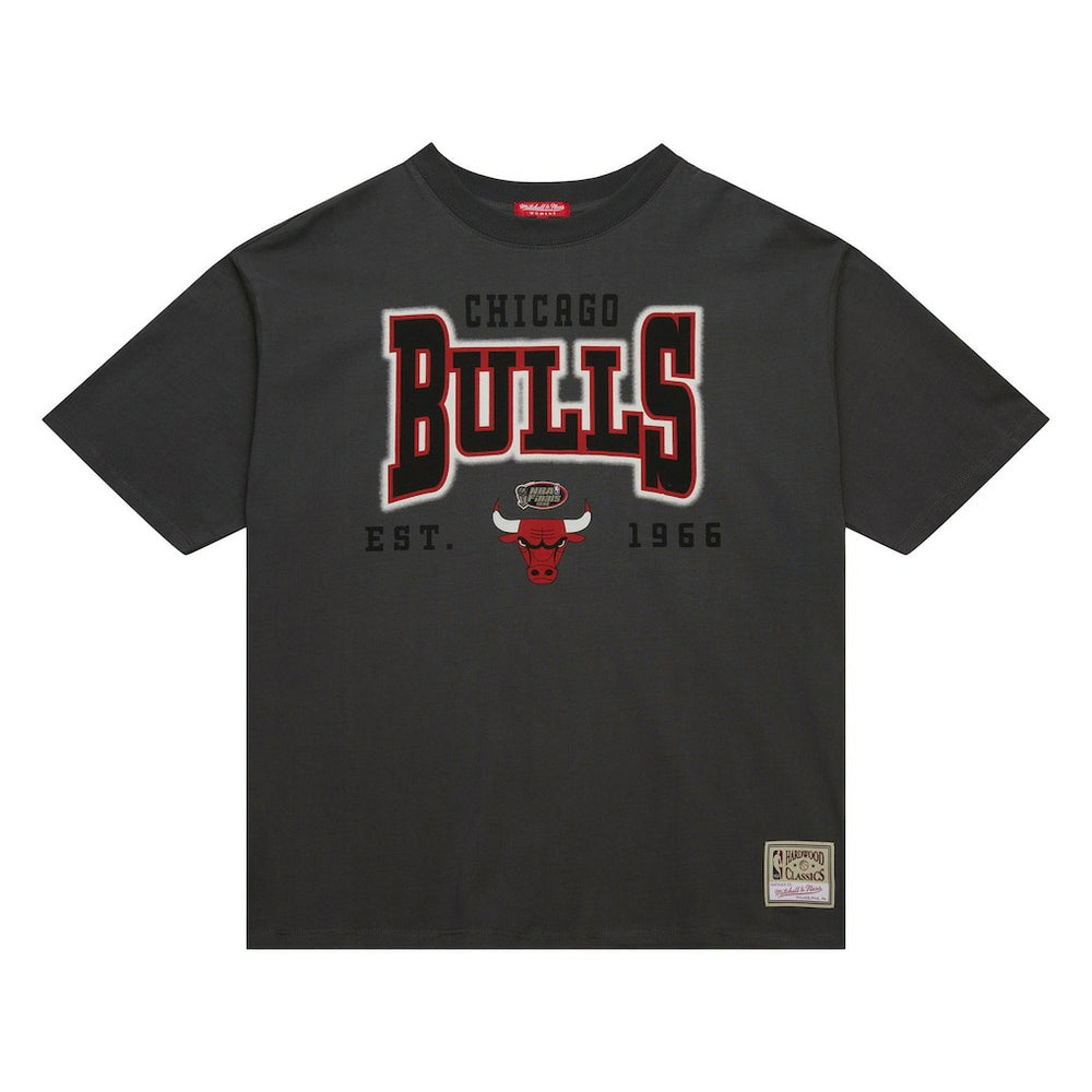 NBA Chicago Bulls Women's Hardwood Classics Oversized Boyfriend T-Shirt sale
