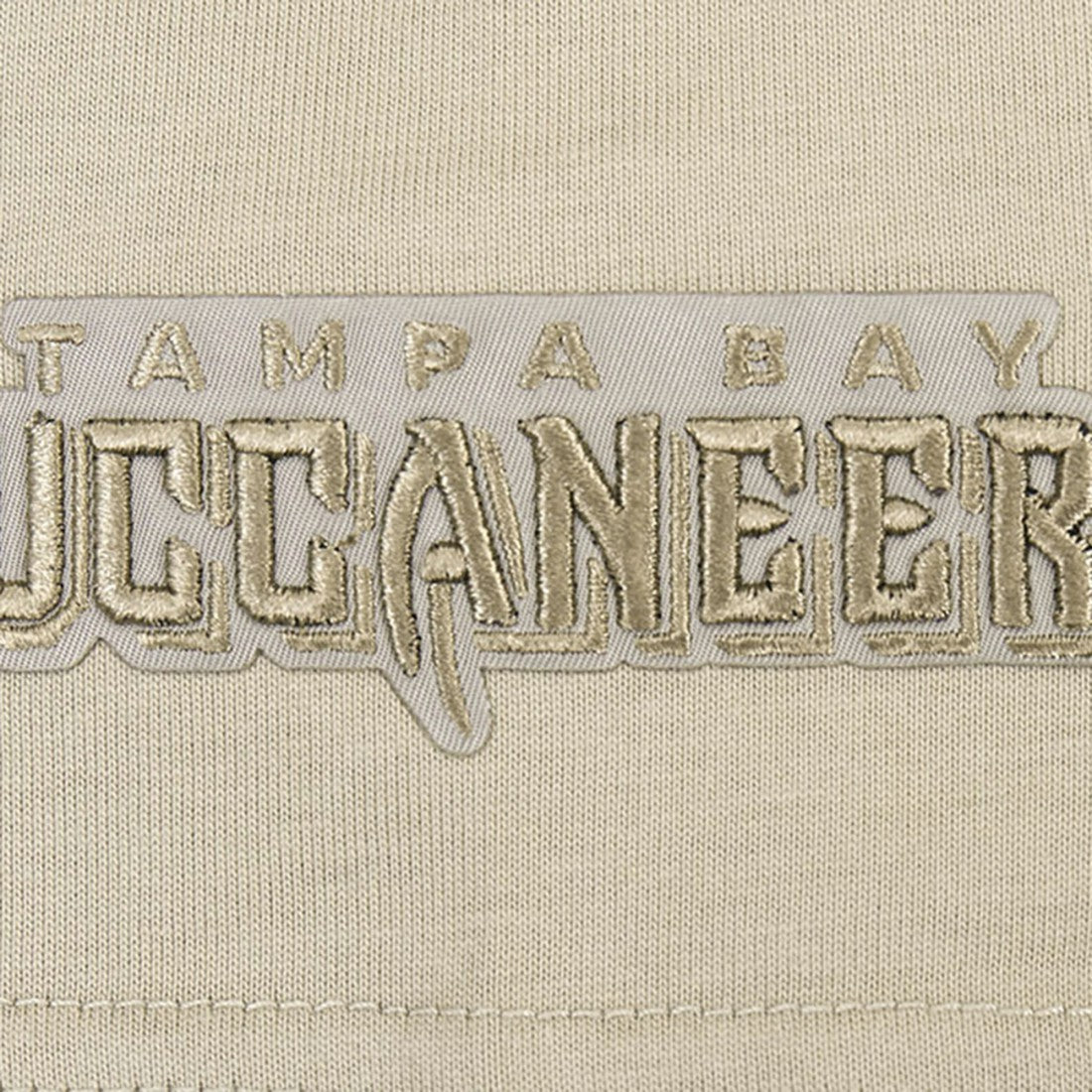 Pro Standard Neutrals Capsule Short Sleeve Pullover Hoodie - Tampa Bay Buccaneers