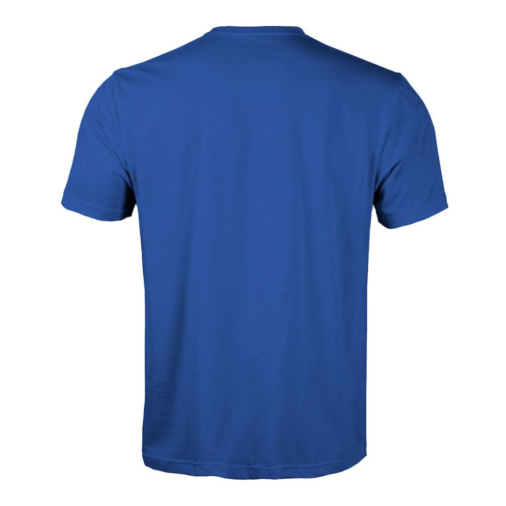 NHL Blue St. Louis Blues Levelwear Richmond Ice Wall T-Shirt