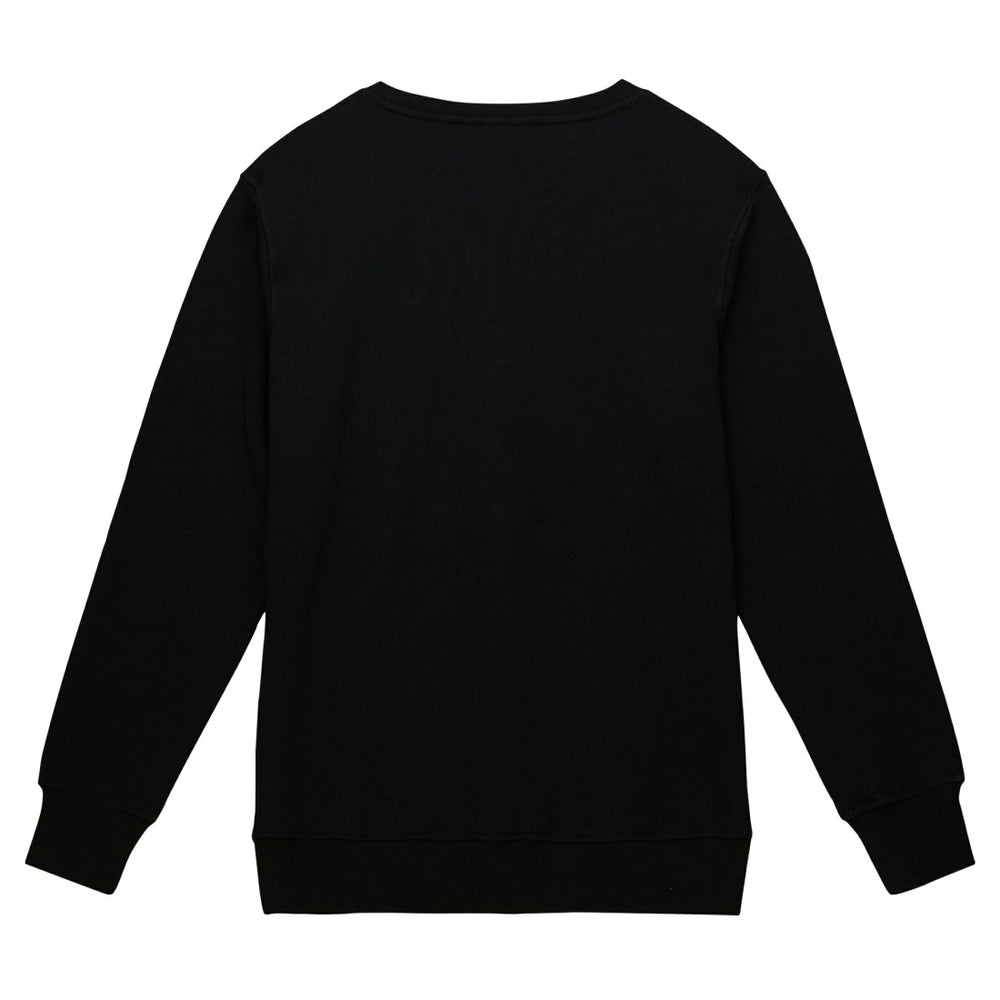 Basic Fleece Pullover Sweatshirt - Detroit Lions
