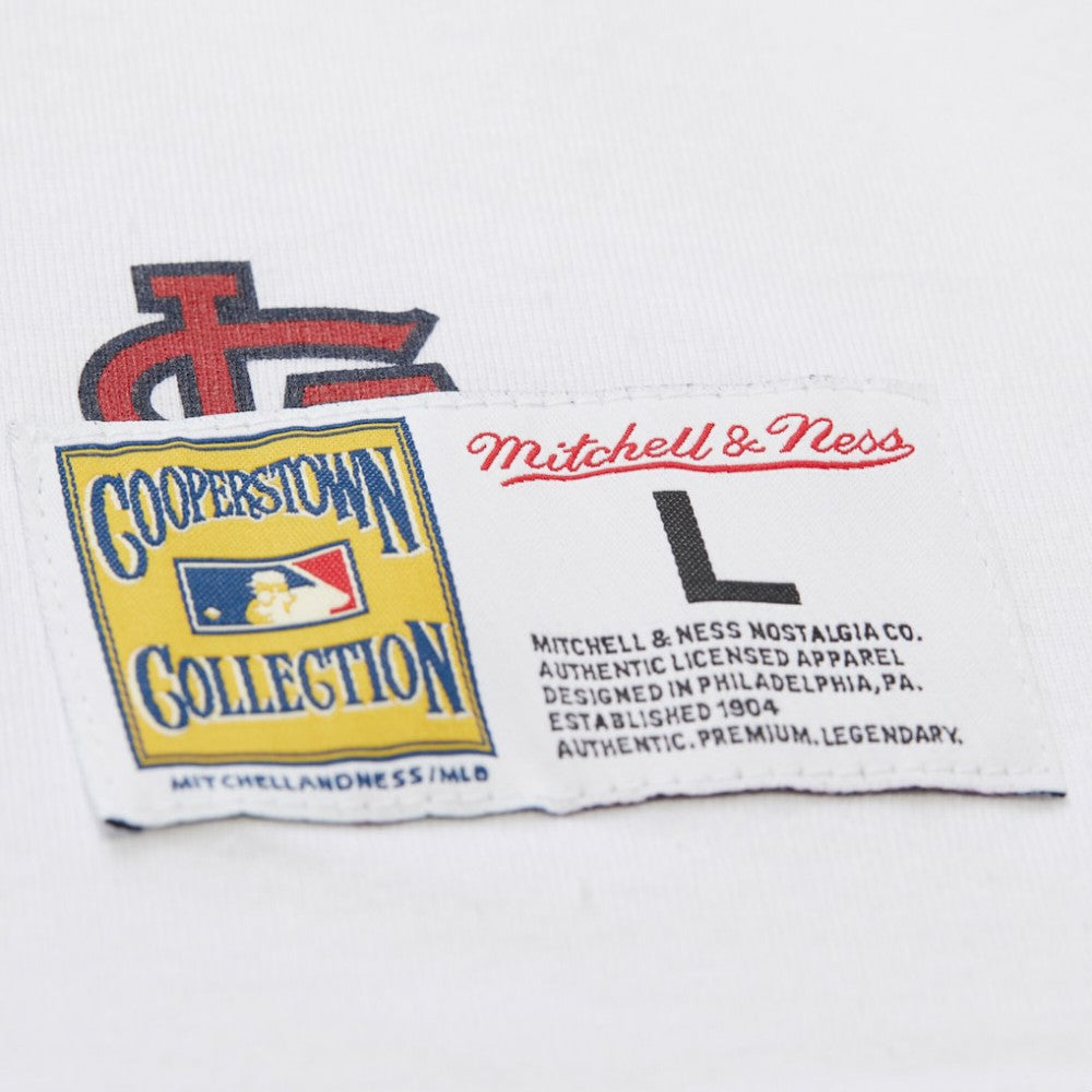 MLB St. Louis Cardinals Mitchell & Ness Cooperstown Collection Team Origins Premium T-Shirt