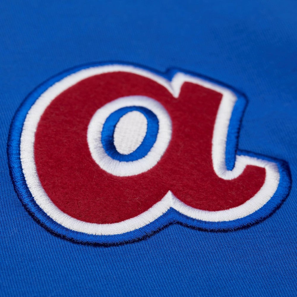 MLB Hank Aaron Atlanta Braves Mitchell & Ness Legends Collection Vintage Logo T-Shirt