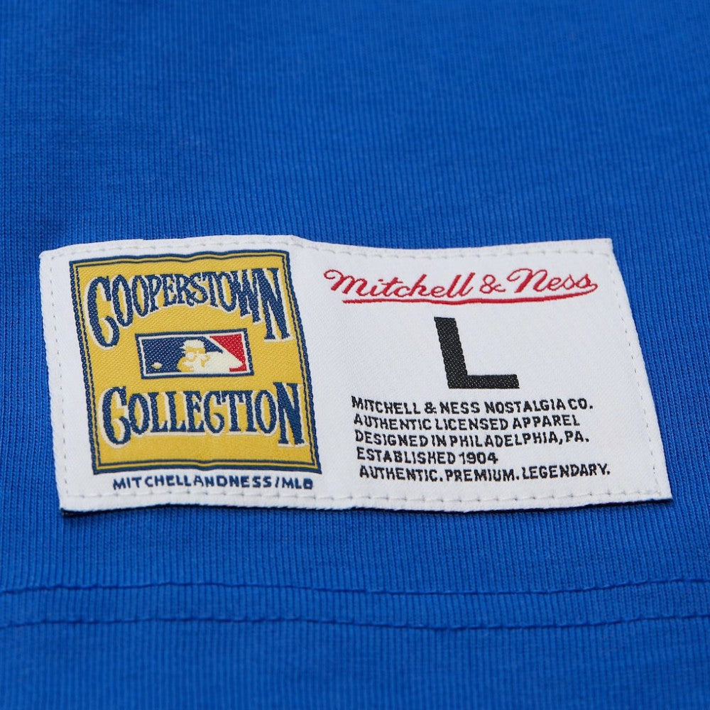 MLB Hank Aaron Atlanta Braves Mitchell & Ness Legends Collection Vintage Logo T-Shirt