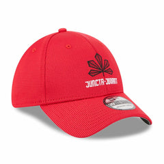MLB Cincinnati Reds New Era City Connect Batting Practice 39THIRTY Flex Hat
