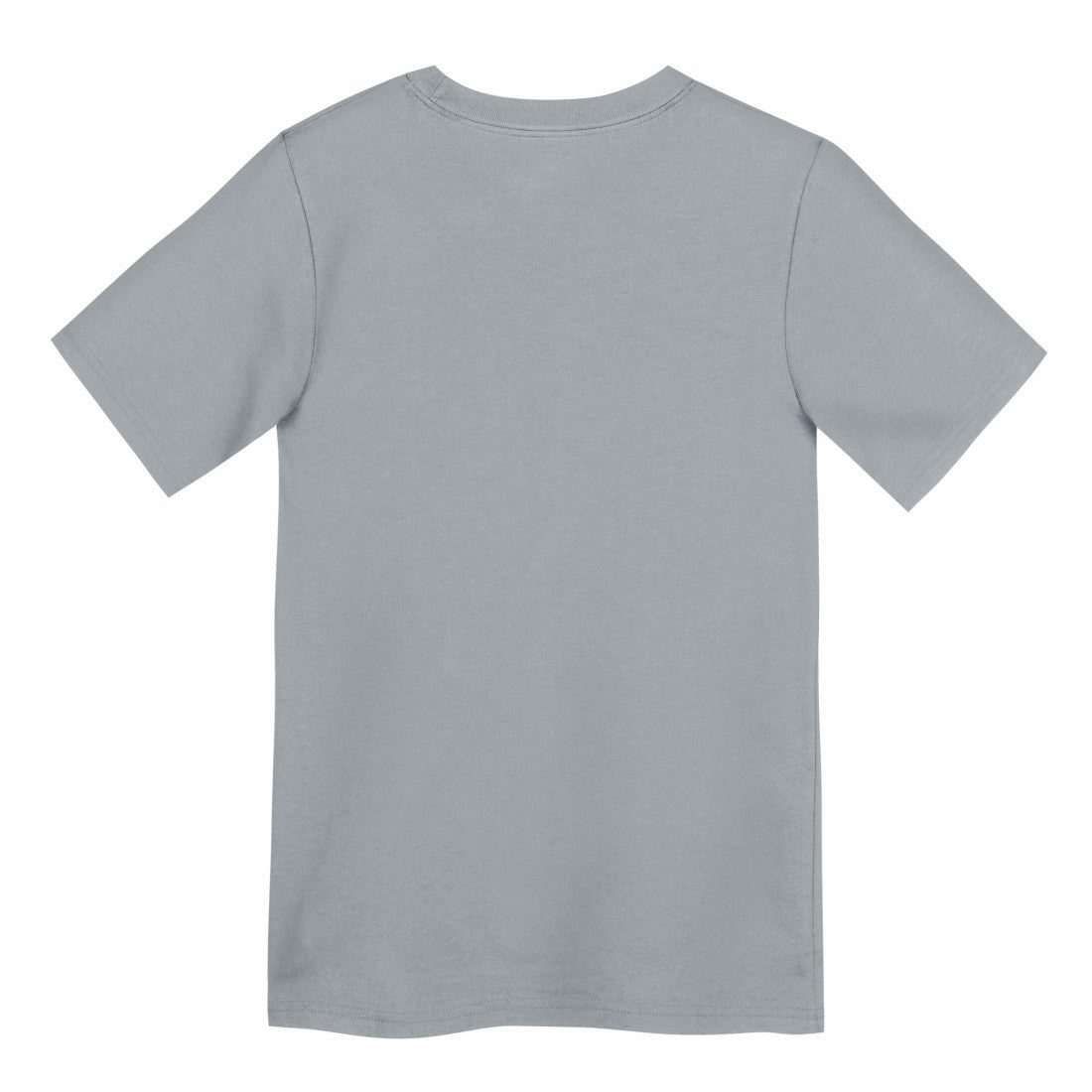 Preschool Icon Legend Dri-FIT T-Shirt - Detroit Lions