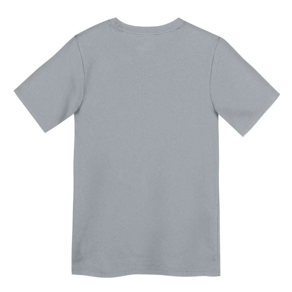 Preschool Icon Legend Dri-FIT T-Shirt - Detroit Lions