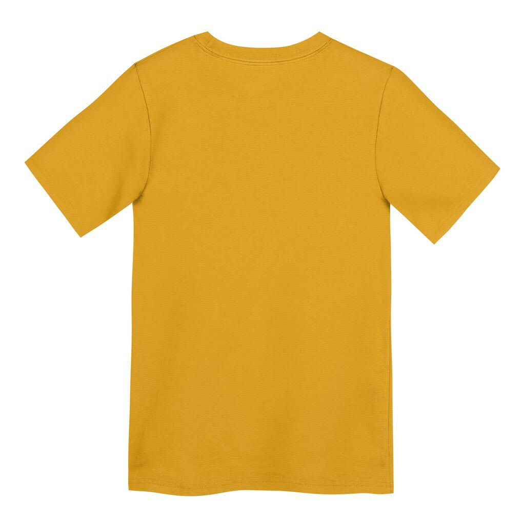 Preschool Icon Legend Dri-FIT T-Shirt - Pittsburgh Steelers