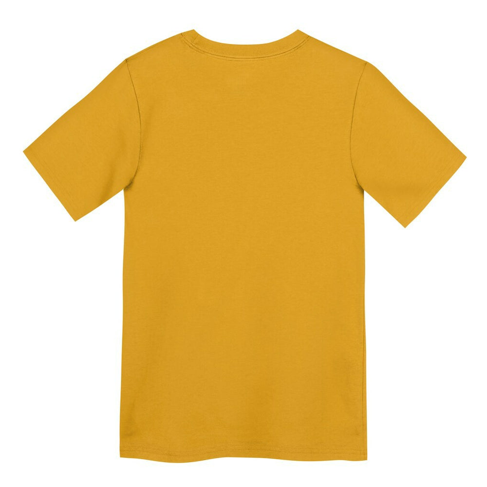 Preschool Icon Legend Dri-FIT T-Shirt - Pittsburgh Steelers