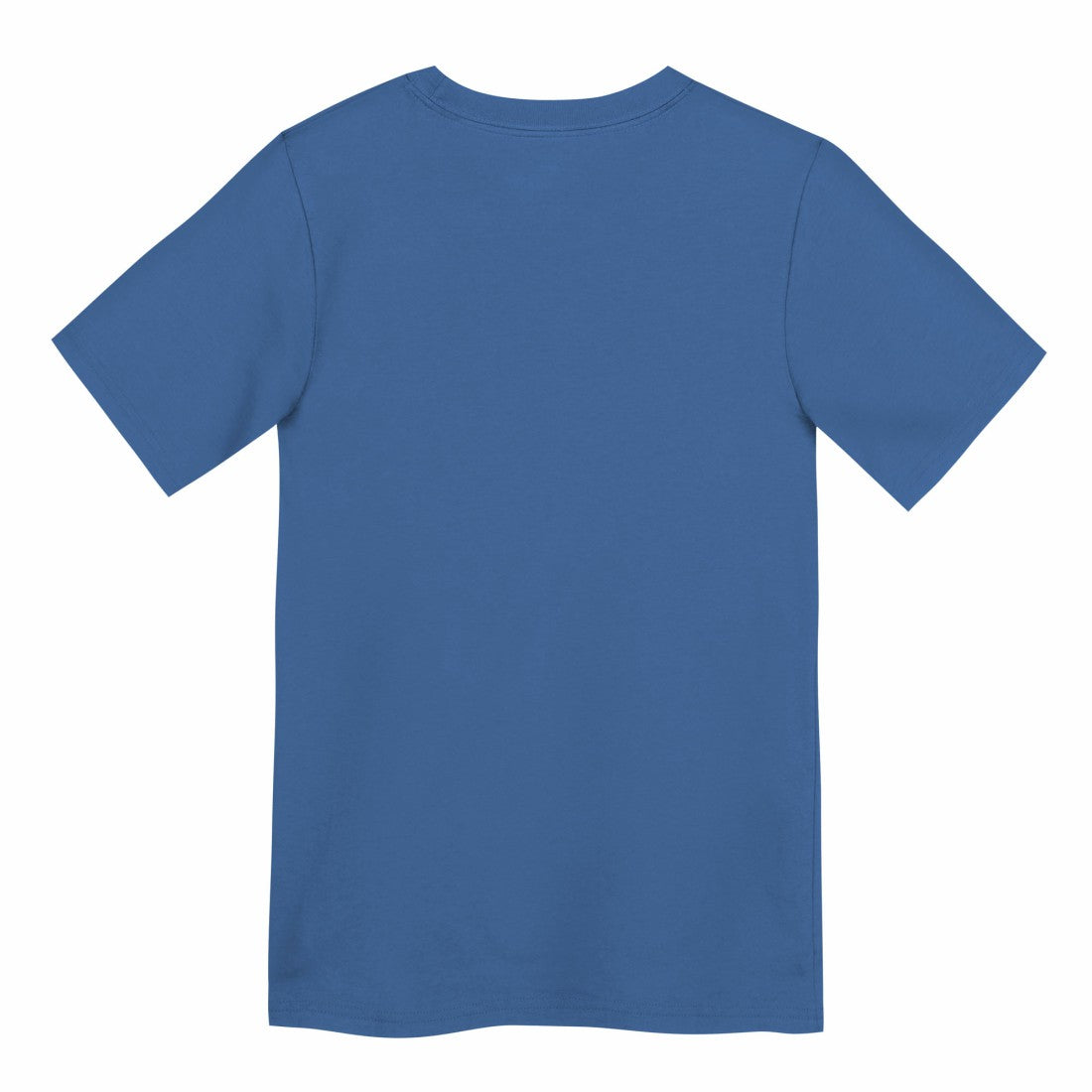 Preschool Primary Logo Legend Performance T-Shirt - Detroit Lions