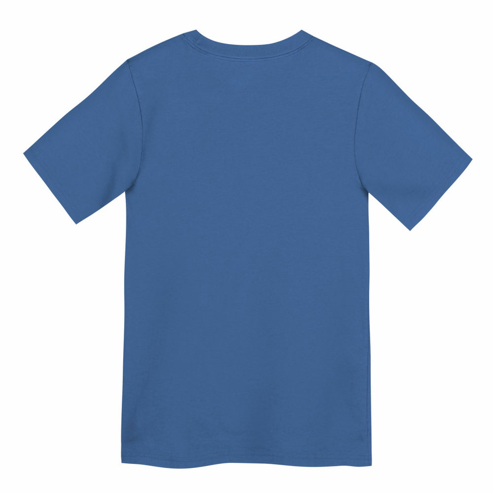Preschool Primary Logo Legend Performance T-Shirt - Detroit Lions