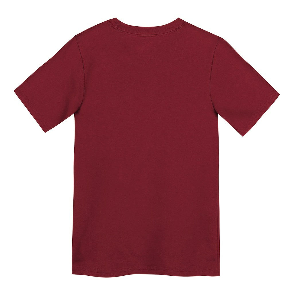Preschool Primary Logo Legend Performance T-Shirt - San Francisco 49ers
