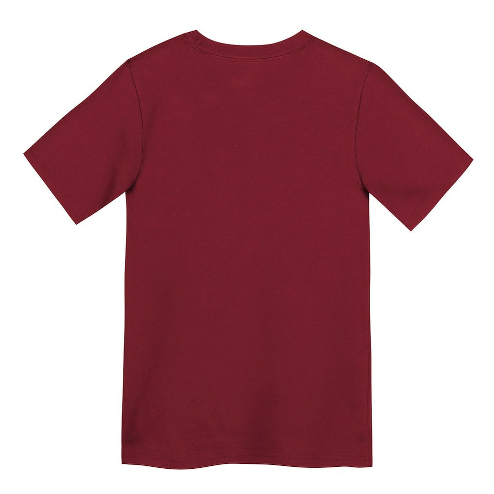 Preschool Primary Logo Legend Performance T-Shirt - San Francisco 49ers