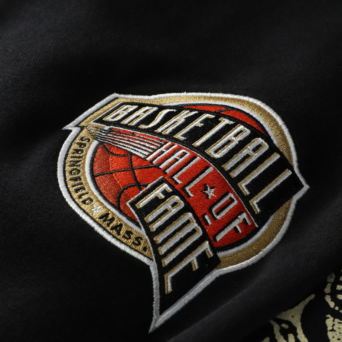 NBA Vince Carter Toronto Raptors NBA Hall of Fame 2024 Fleece Pullover Hoodie