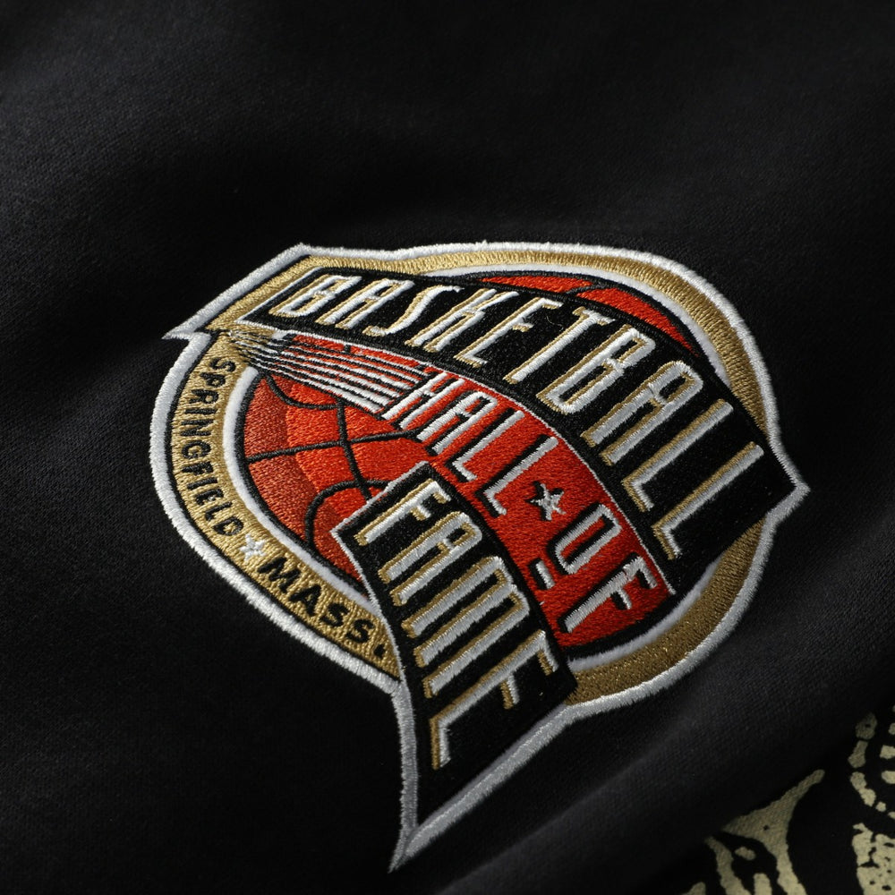 NBA Vince Carter Toronto Raptors NBA Hall of Fame 2024 Fleece Pullover Hoodie