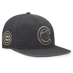 MLB Chicago Cubs Nike Monotone Pro Adjustable Hat