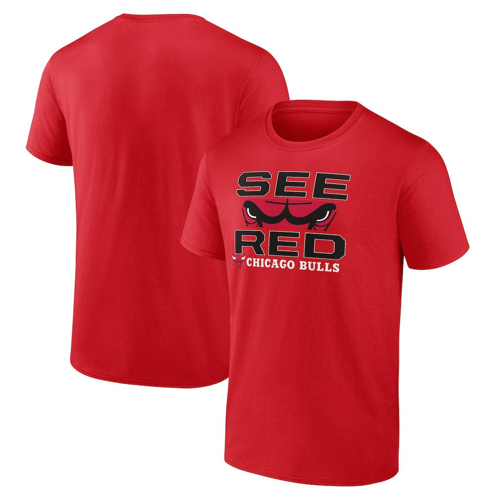 NBA Chicago Bulls Home Town T-Shirt sale