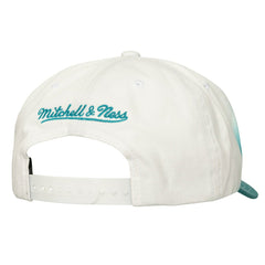 NBA Charlotte Hornets Dip Dye Pro Crown Adjustable Hat