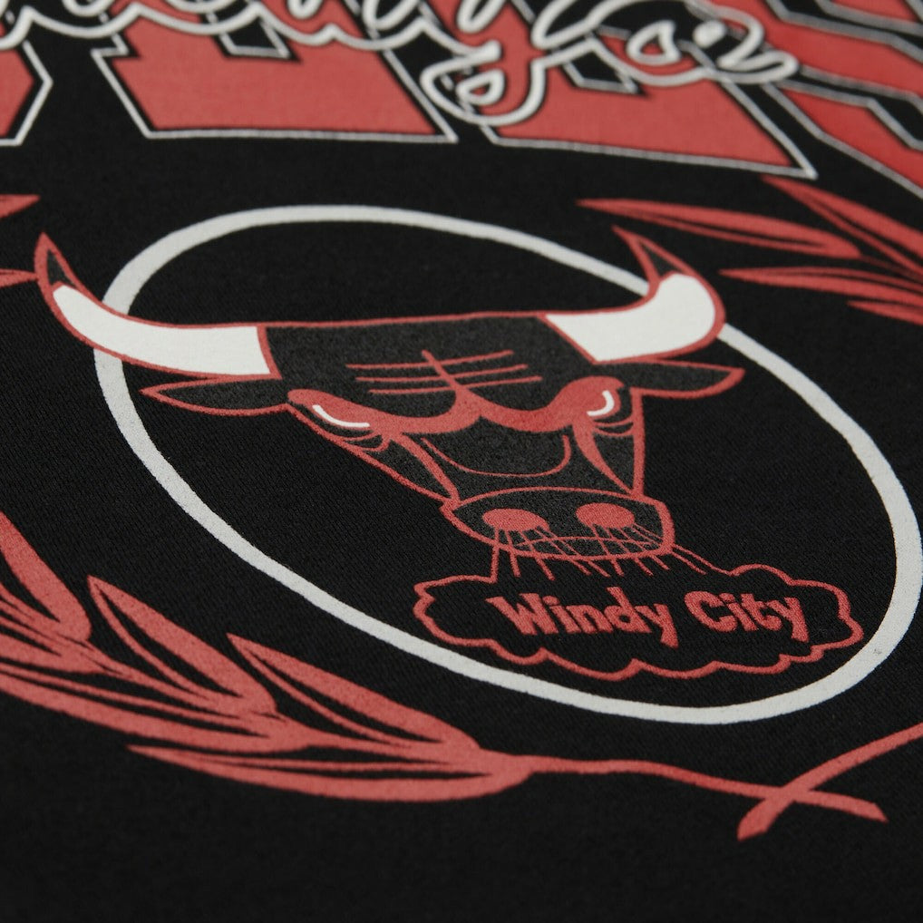 NBA Chicago Bulls NBA x Michelob Ultra Swish & Sip Pullover Hoodie