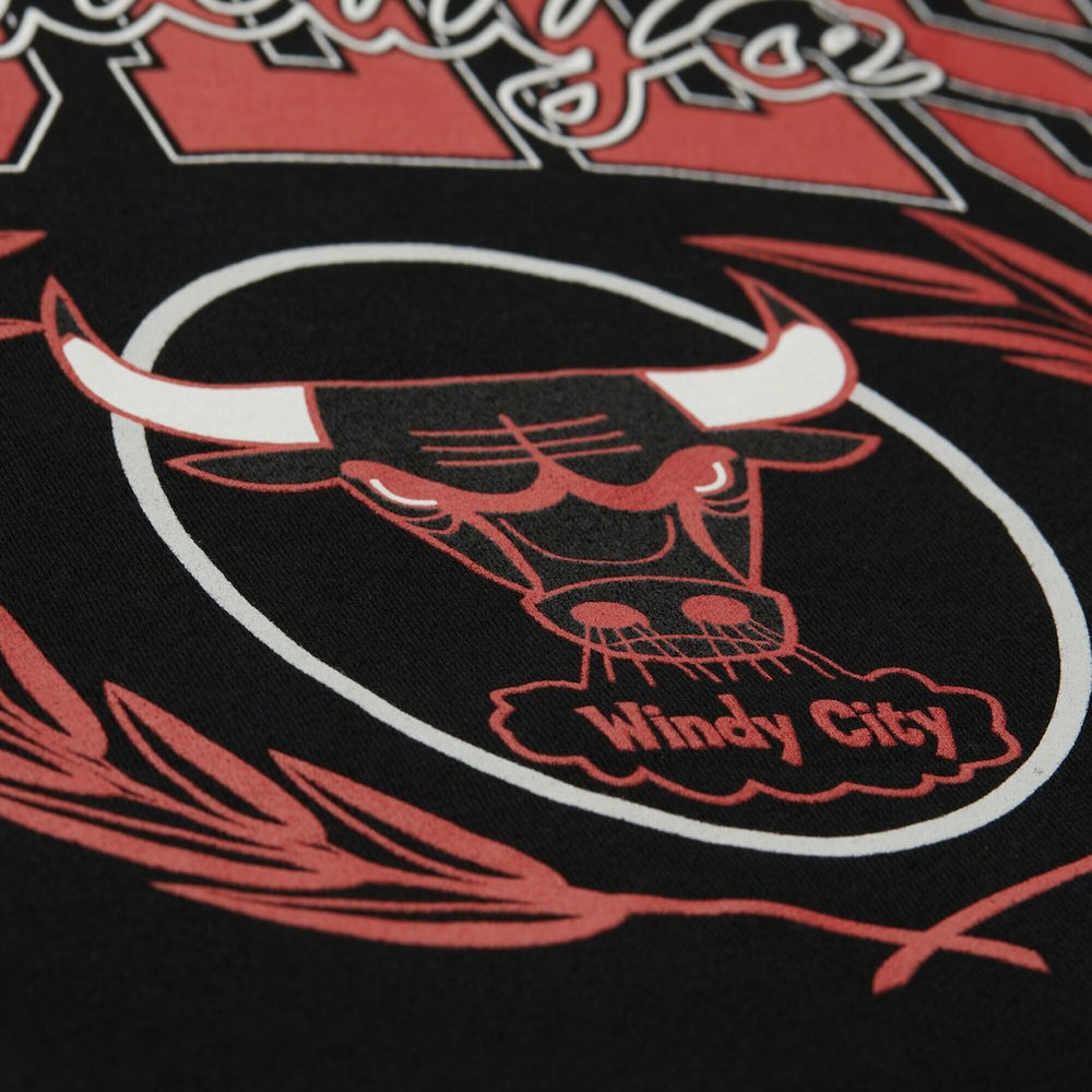NBA Chicago Bulls NBA x Michelob Ultra Swish & Sip Pullover Hoodie