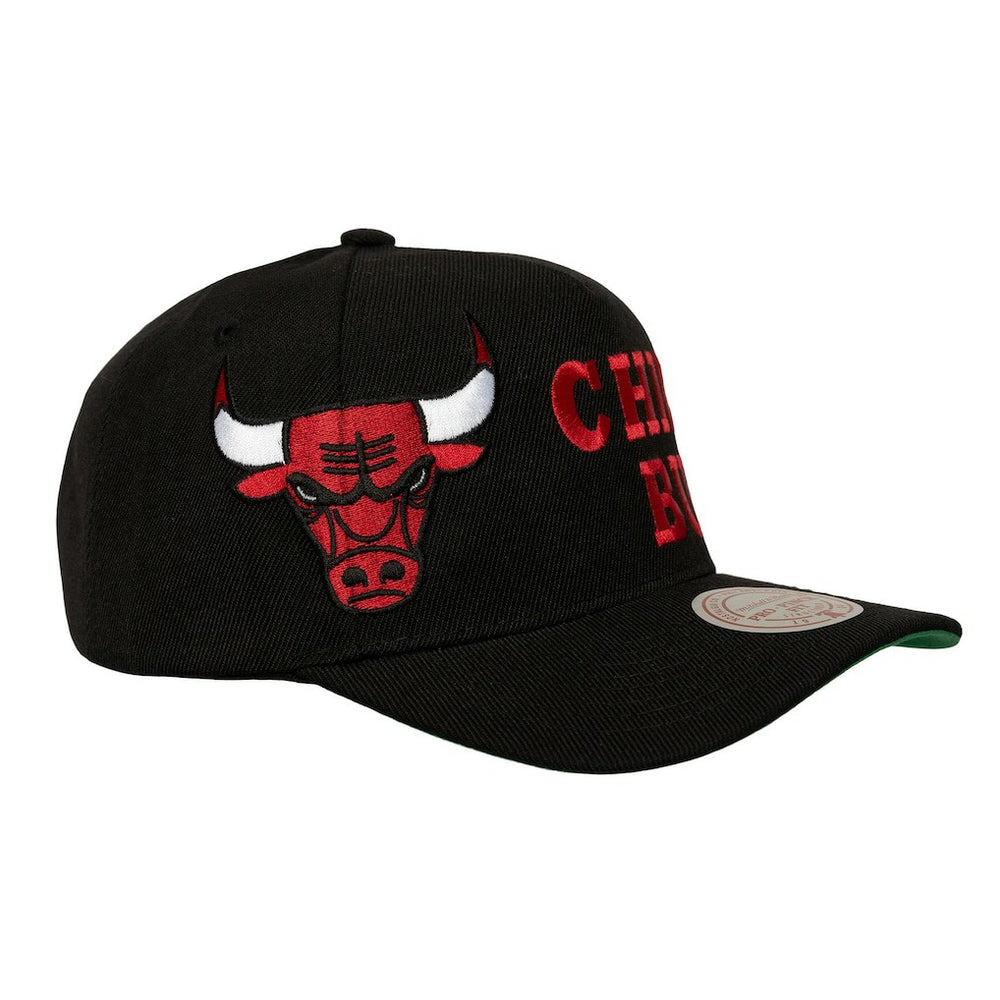 NBA Chicago Bulls Busted Logo Wordmark Wrap-Around Pro Pinch Adjustable Hat
