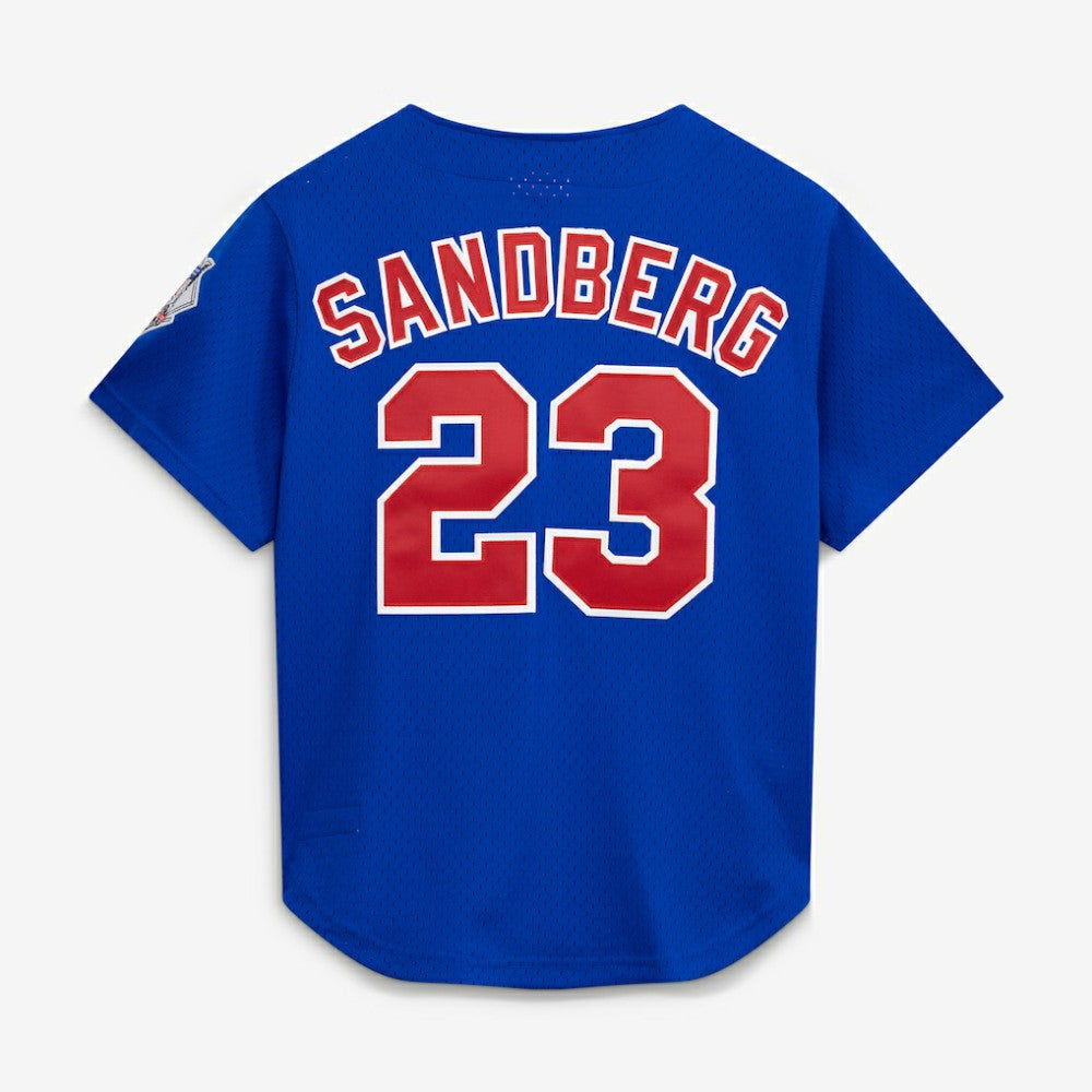 MLB Ryne Sandberg Chicago Cubs Mitchell & Ness Cooperstown Collection 1997 Mesh Batting Practice Button-Up Jersey
