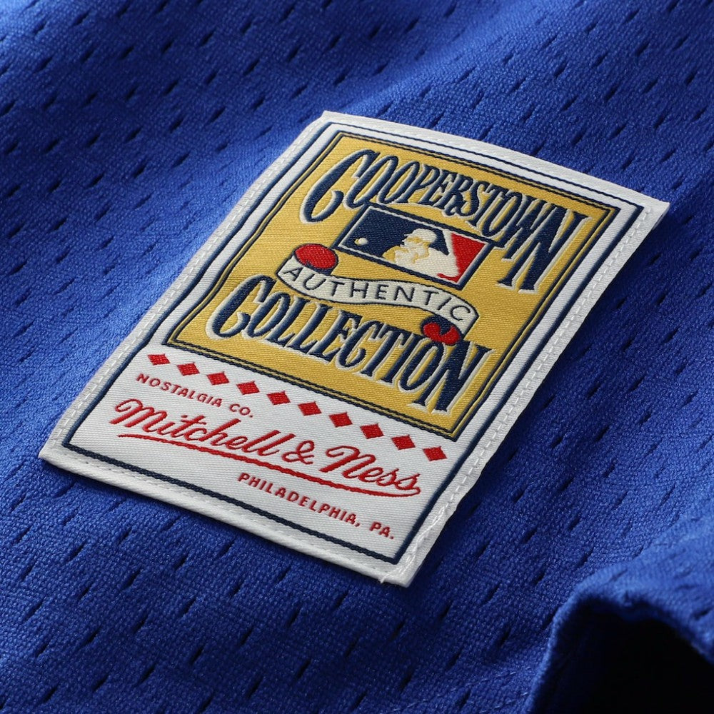 MLB Ryne Sandberg Chicago Cubs Mitchell & Ness Cooperstown Collection 1997 Mesh Batting Practice Button-Up Jersey