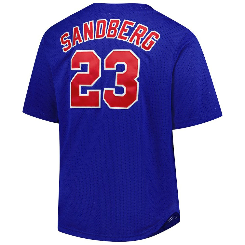 MLB Ryne Sandberg Chicago Cubs Mitchell & Ness Big & Tall Cooperstown Mesh Batting Practice Jersey