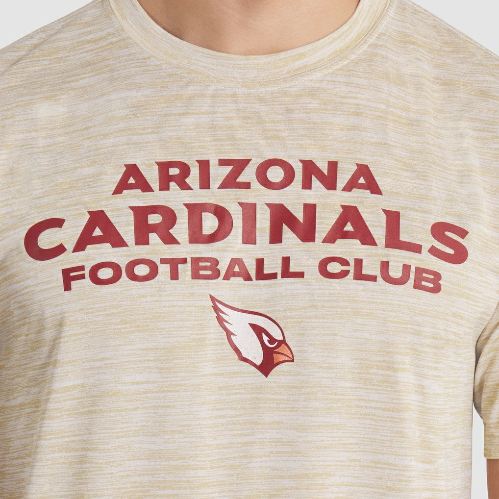2025 Rivalries Collection Sideline Velocity Dri-FIT T-Shirt - Arizona Cardinals